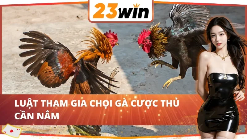 Đá Gà 23Win - Thiên Đường Giải Trí Số Một Cho Kê Thủ Năm 2025 3 Chi tiết luật tham gia đá gà tại 23Win