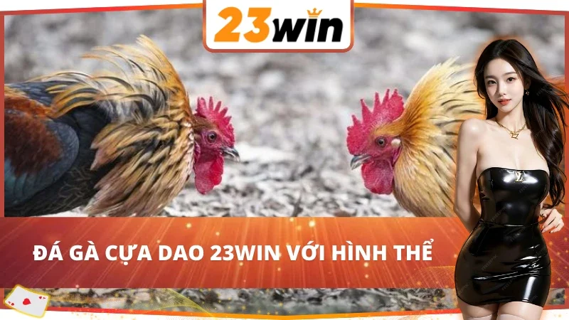 Đá Gà Cựa Dao Với Vô Vàn Trận Chiến Chọi Gà Nảy Lửa Tại 23WIN 6 Yếu tố hình thể trong Đá Gà Cựa Dao 23WIN