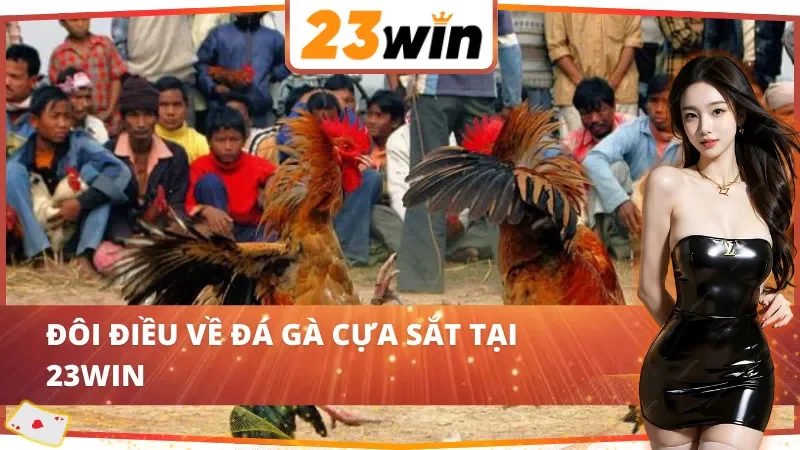 Đá Gà Cựa Sắt - Hình Thức Cá Cược Ăn Khách Bậc Nhất 23Win 2 Những nét cơ bản về đá gà cựa sắt