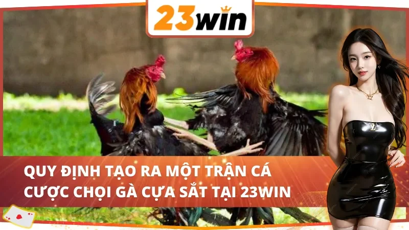 Đá Gà Cựa Sắt - Hình Thức Cá Cược Ăn Khách Bậc Nhất 23Win 3 Chi tiết các quy định về đá gà cựa sắt