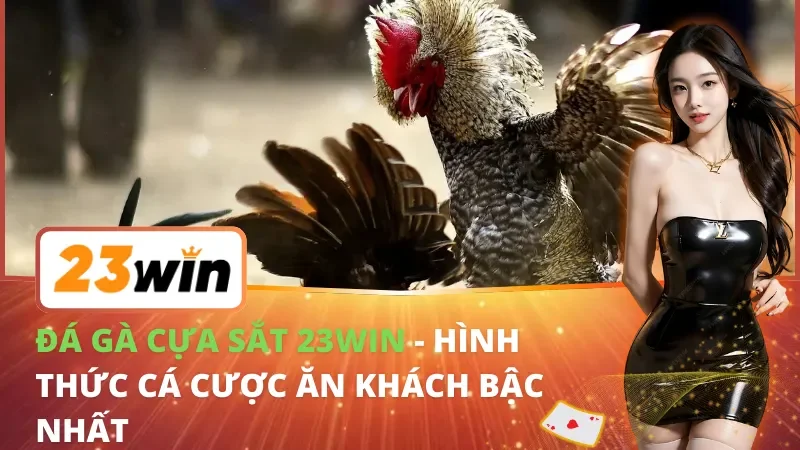 Đá Gà Cựa Sắt - Hình Thức Cá Cược Ăn Khách Bậc Nhất 23Win 3 Đá Gà Cựa Sắt