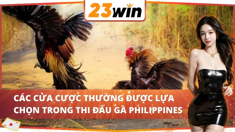 Đá Gà Philippines - Vô Vàn Kèo Hấp Dẫn Đang Chờ Đợi ae 23WIN 5 04 cửa cược hấp dẫn trong Đá Gà Philippines 23WIN