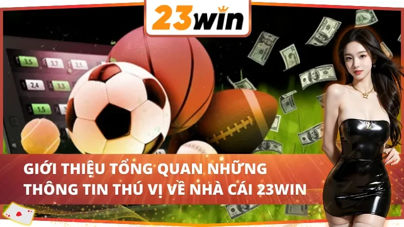 Giới Thiệu 23Win - Nền Tảng Giải Trí Hàng Đầu Năm 2025 2 Giới thiệu 23Win tổng quan những thông tin thú vị về nhà cái