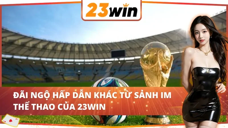 IM Thể Thao – Cá Cược Đẳng Cấp 23WIN Với Tỷ Lệ Kèo Minh Bạch 6 Quyền lợi đặc biệt khi chơi tại IM Thể Thao 23WIN